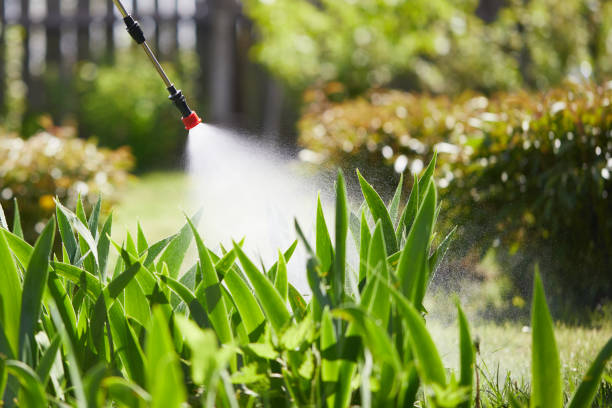 24/7 Emergency Bed Bug Control experts in Jesup, GA