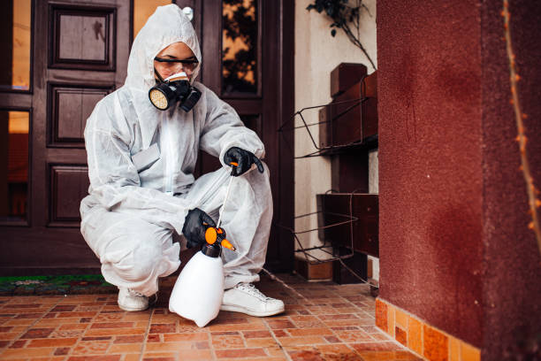 Reliable Bed Bug Control contractor in Jesup, GA by Nex Pest Control